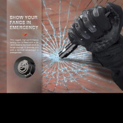 Fenix T6 Halberd V2 Pen Light -Outdoor Equipment Store FENIX T6 BK v201DET4 55151.1668682723.1280.1280 20982.1670406152.1280.1280 11970.1670421014