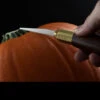 Warren Cutlery Pumpkin Carving Tool Set