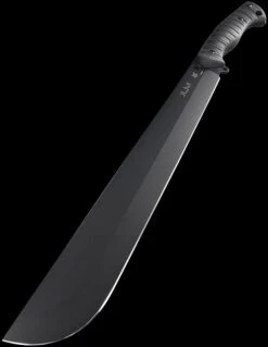 Fox Jungle Latin Machtete