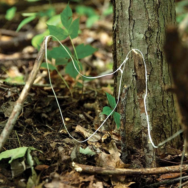 Atwood Parapocalypse Paracord 4 Atwood Parapocalypse Paracord - Image 4